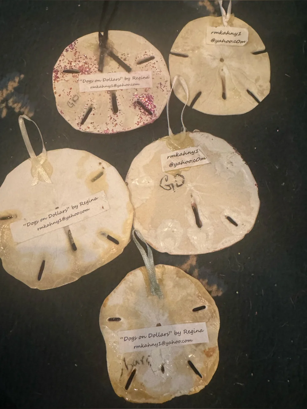 Handmade real Sand Dollar ornaments Hanging Set - Cream and Brown